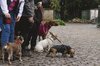 Fotos von Menschen und Hunden