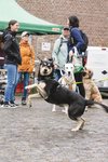 Fotos von Menschen und Hunden