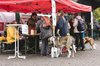 Fotos von Menschen und Hunden