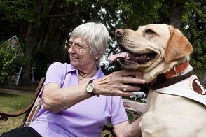 Hundebesuchsdienst in Köln
