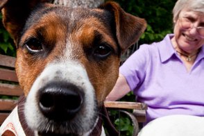 Hundebesuchsdienst in Düsseldorf