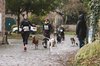 Fotos von Menschen und Hunden