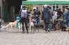 Fotos von Menschen und Hunden