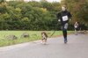 Fotos von Menschen und Hunden