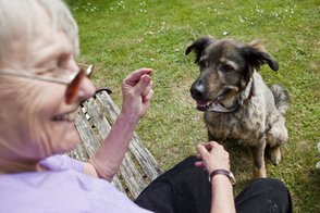 Hundebesuchsdienst in Krefeld/Kamp-Lintfort