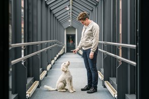 Hundebesuchsdienst