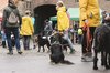 Fotos von Menschen und Hunden