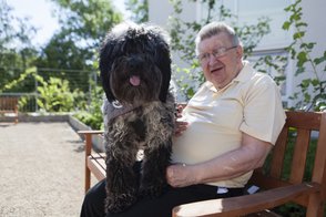 Hundebesuchsdienst in Hamburg